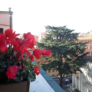 Blu Gardenia Roma